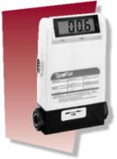 氣體質(zhì)量流量計 820