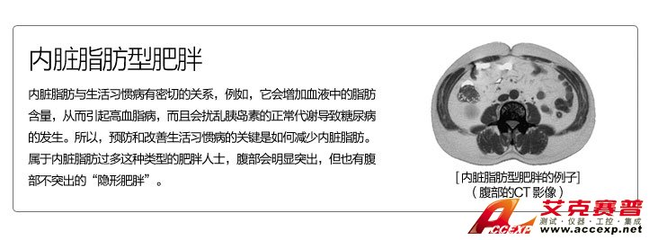 內(nèi)臟脂肪型肥胖 內(nèi)臟脂肪型肥胖
